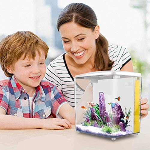 1.2 Gallon Square Fish Tank with LED Light and Filter Pump J7193