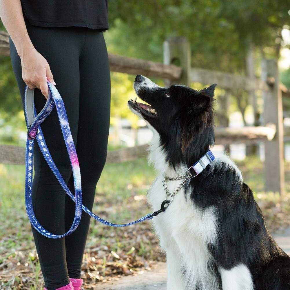 Patterned Reflective Chain Martingale Dog Collar H824