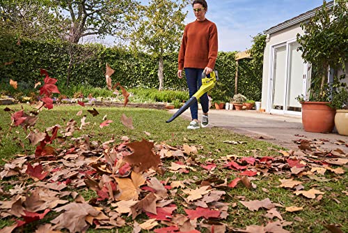 18 V Cordless Blower M2935