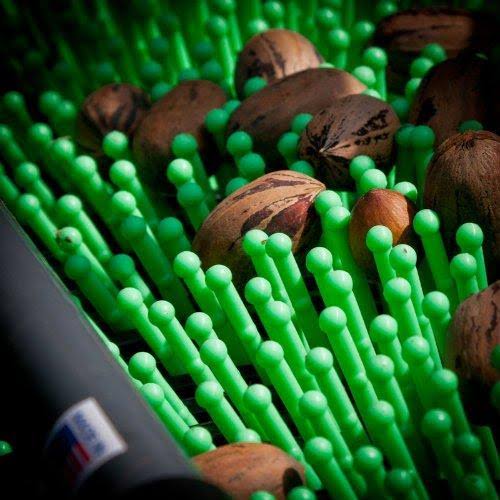 12 Nut Picker Upper Roller C899933
