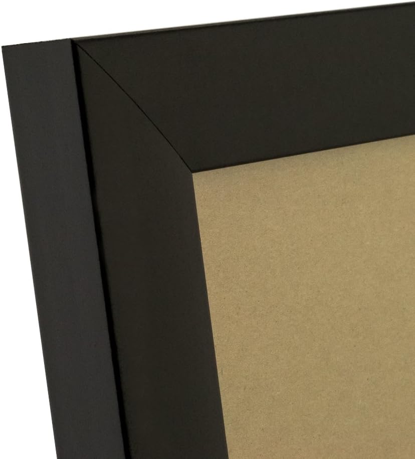 Matte Black 20 by 30-Inch Picture Frame N91677