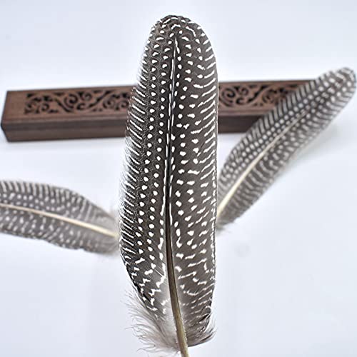 Natural Pheasant Feathers 12pcs 15-20cm W236