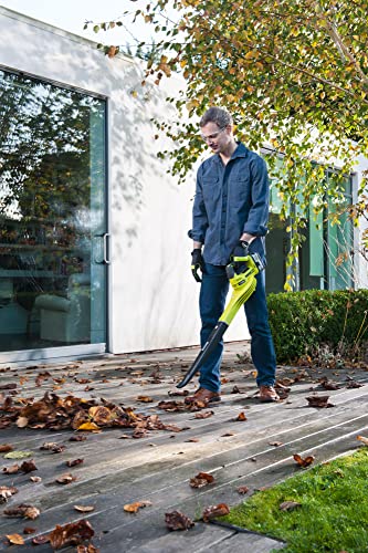 18 V Cordless Blower M2935