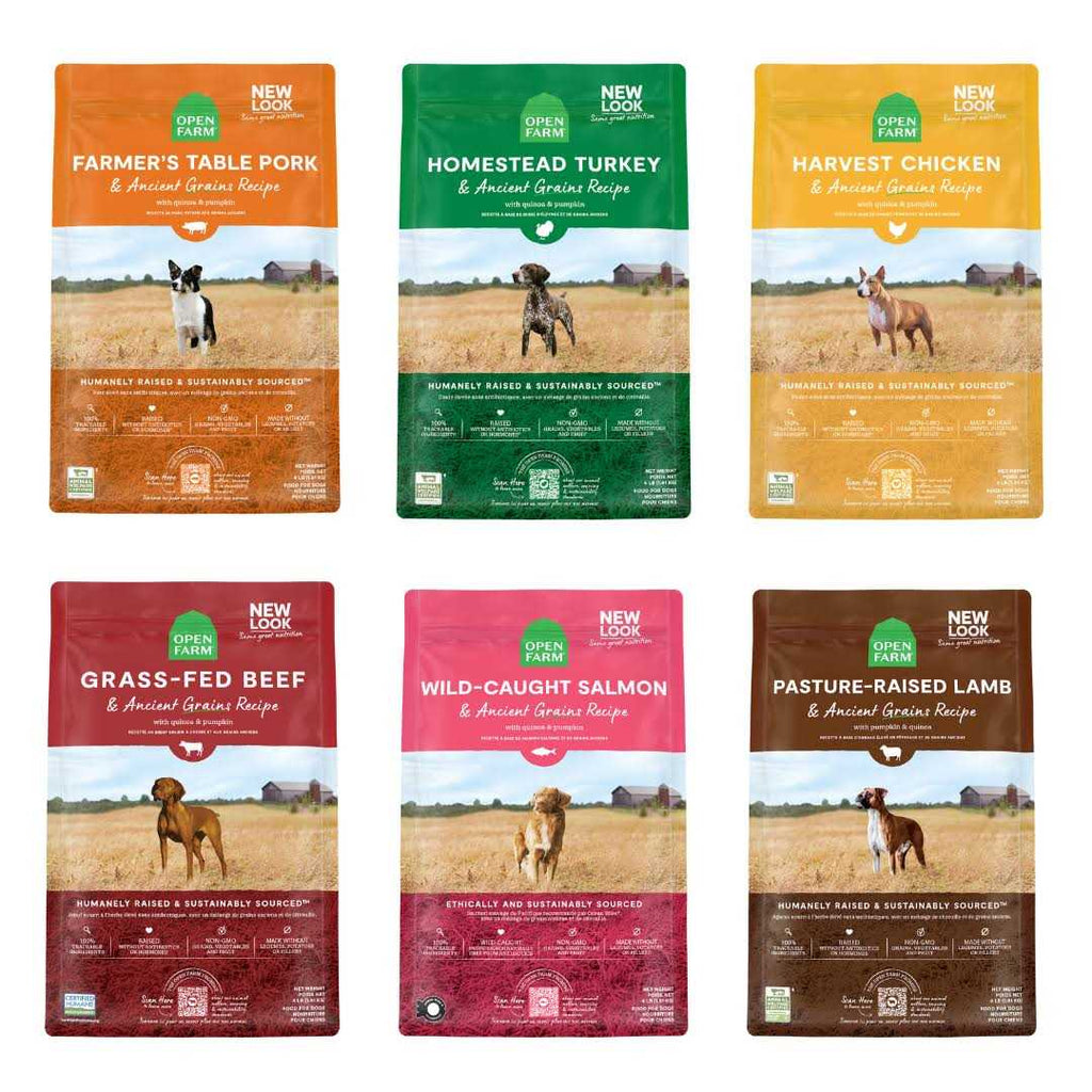 Whitefish & Ancient Grains Dry Dog Food V366372