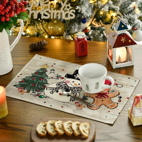 Set of 4 12x18 Inch Christmas Placemats Y2244