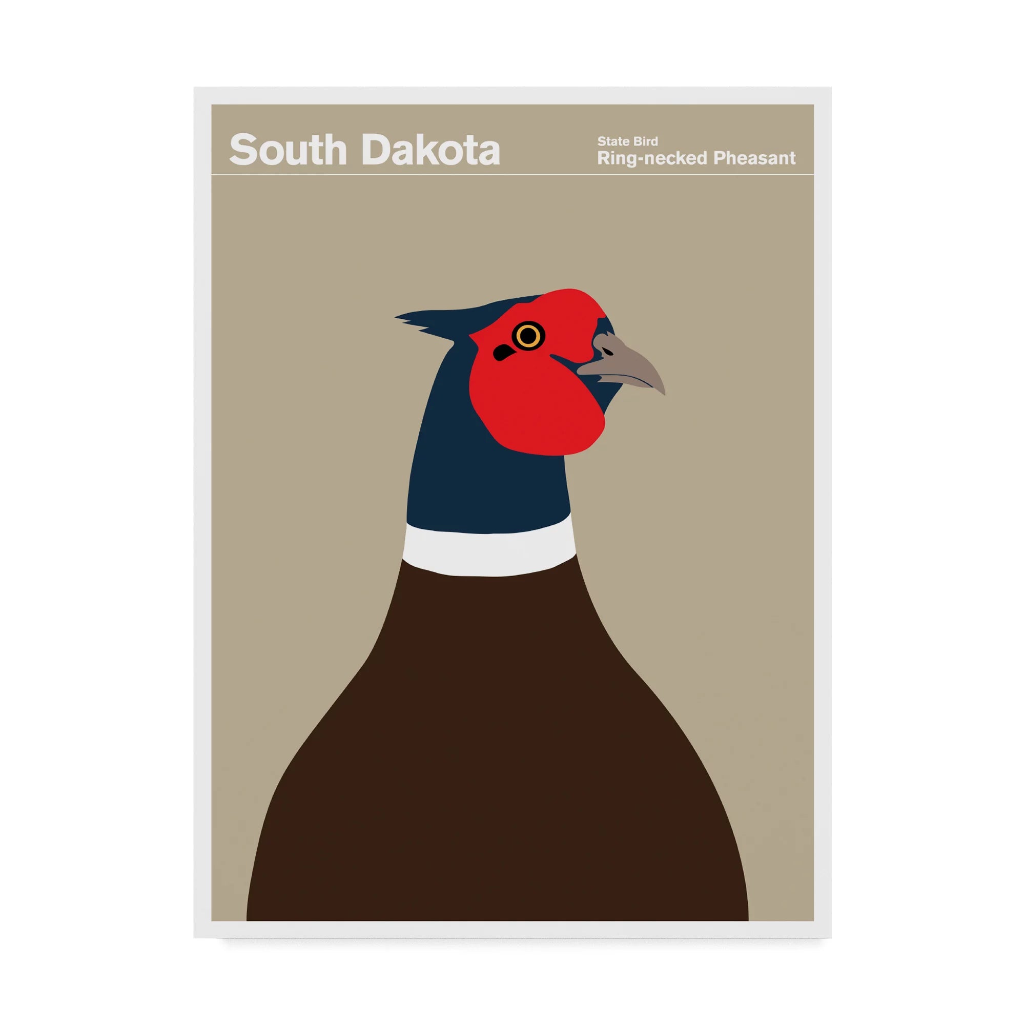 South Dakota Pheasant Canvas Art A5225