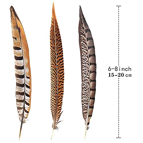 Natural Pheasant Feathers 12pcs 15-20cm W236