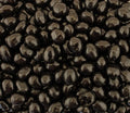 Dark Chocolate Covered Espresso Coffee Beans 2 Pound Bag P213