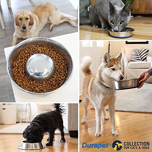 Stainless Steel Dog Bowl - 8 CUP Q3006