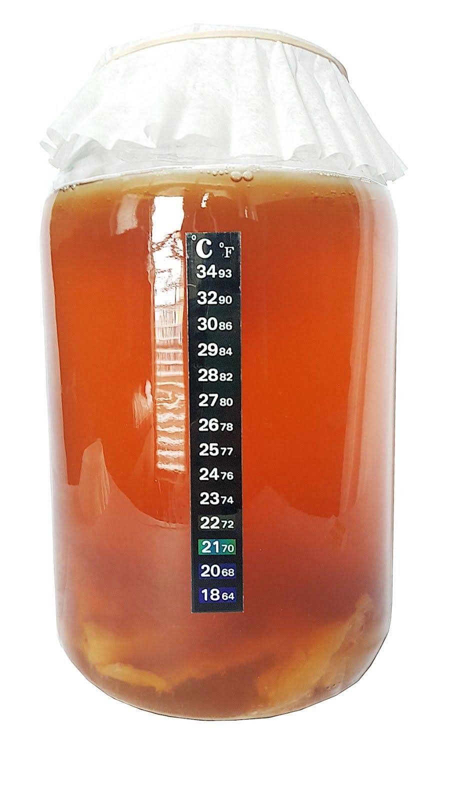 Kombucha Starter Kit with SCOBY, Starter Tea, Organic Sugar, Gallon Glass Jar with Lid T12499
