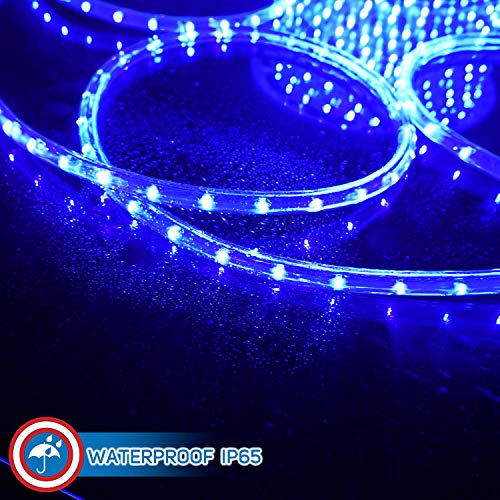Blue LED Rope Lights 50 Z5959