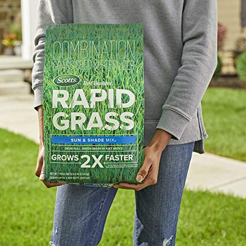 16 lbs. Grass Seed and Fertilizer Mix L279684