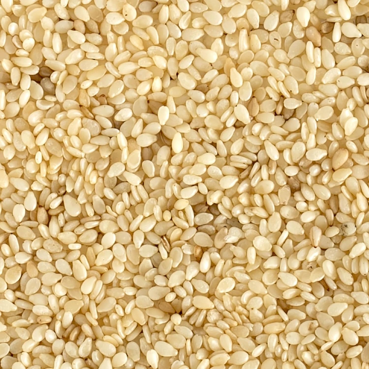 Organic Hulled Whole Sesame Seed 1lb C774060