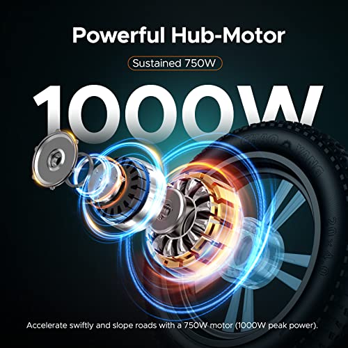 1000W Electric Bike with 48V 26Ah Battery K1493