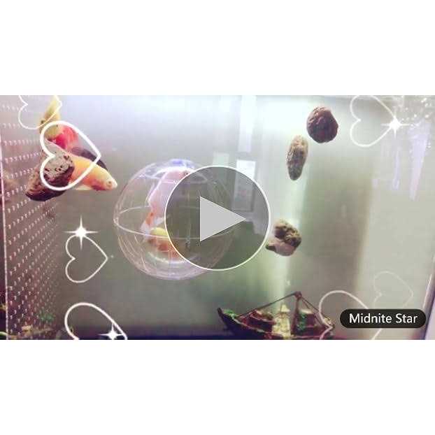 Transparent Hamster Exercise Ball F143