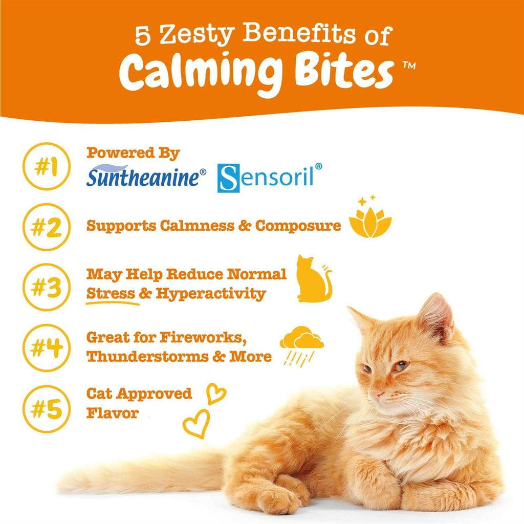 Calming Bites for Cats E285023