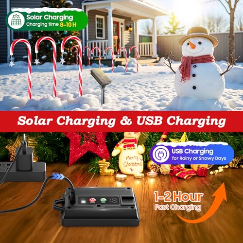 24 Pack Solar Candy Cane Lights Outdoor Christmas Decorations B477659
