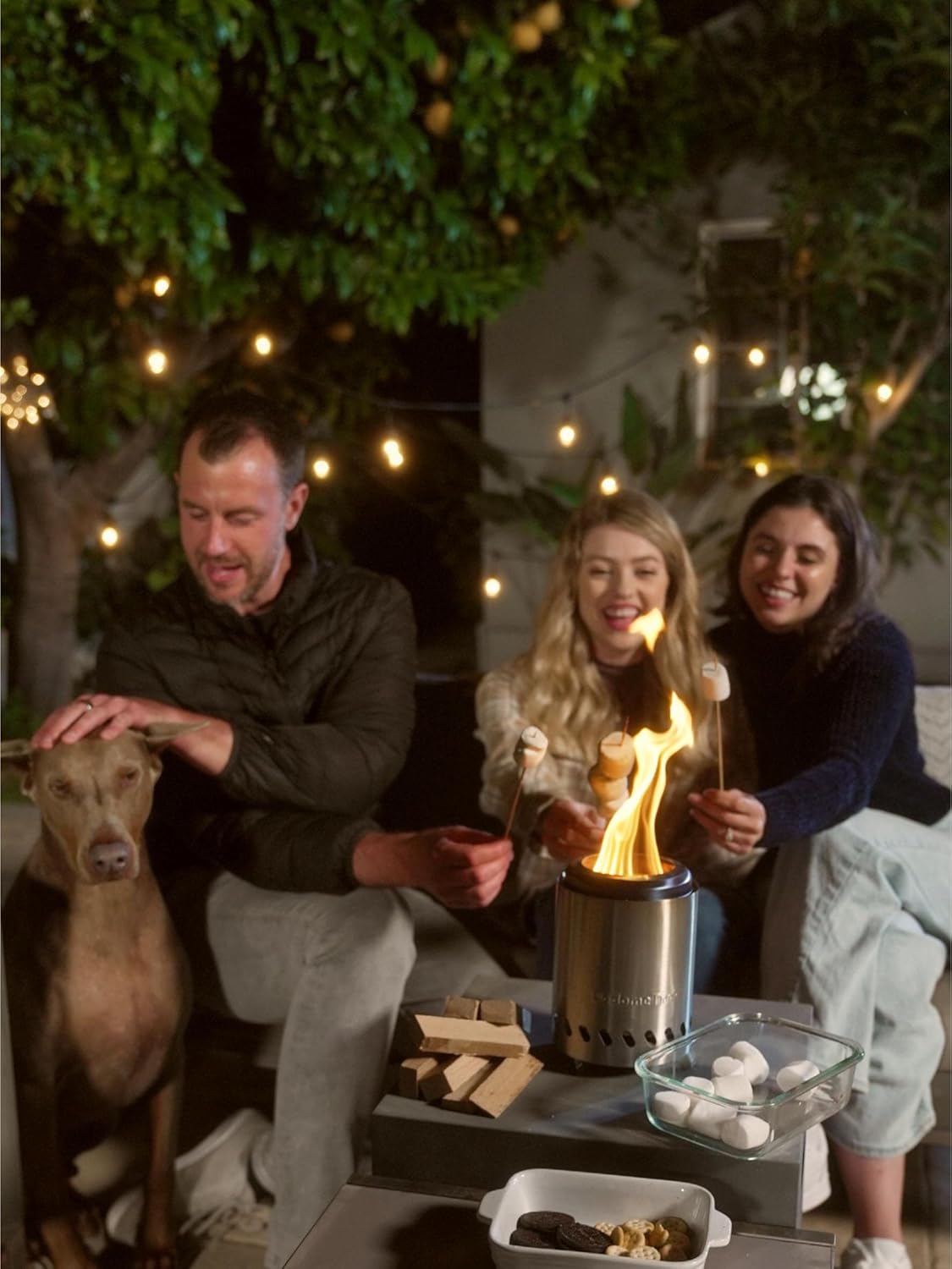 Silver Stainless Steel Tabletop Fire Pit with Travel Bag B38785