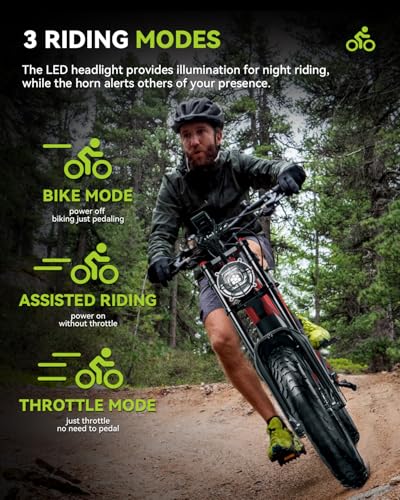 Electric Dirt Bike 20 inch Fat Tire 300+ lbs Heavy Duty Mountain Bicycle e-Bike N470